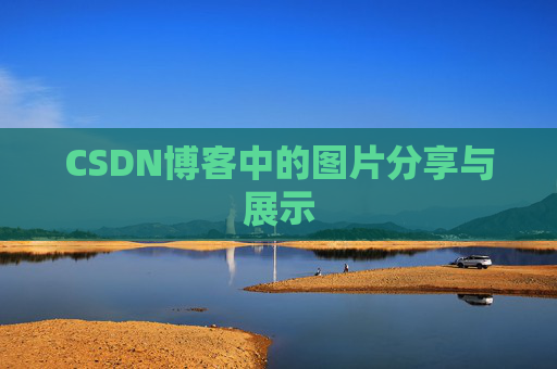 CSDN博客中的图片分享与展示